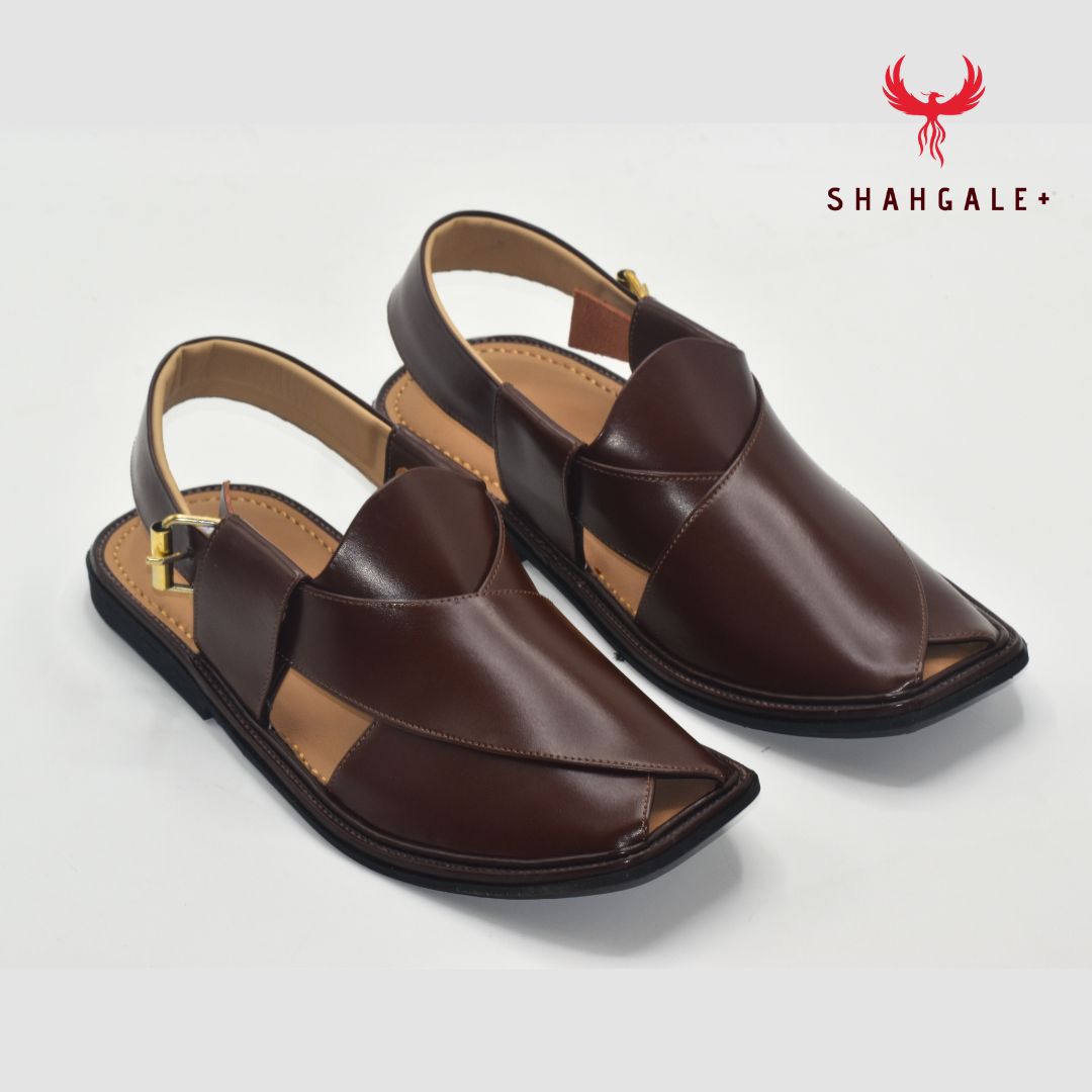 Smart Zalmi (Dark Brown) Chappal