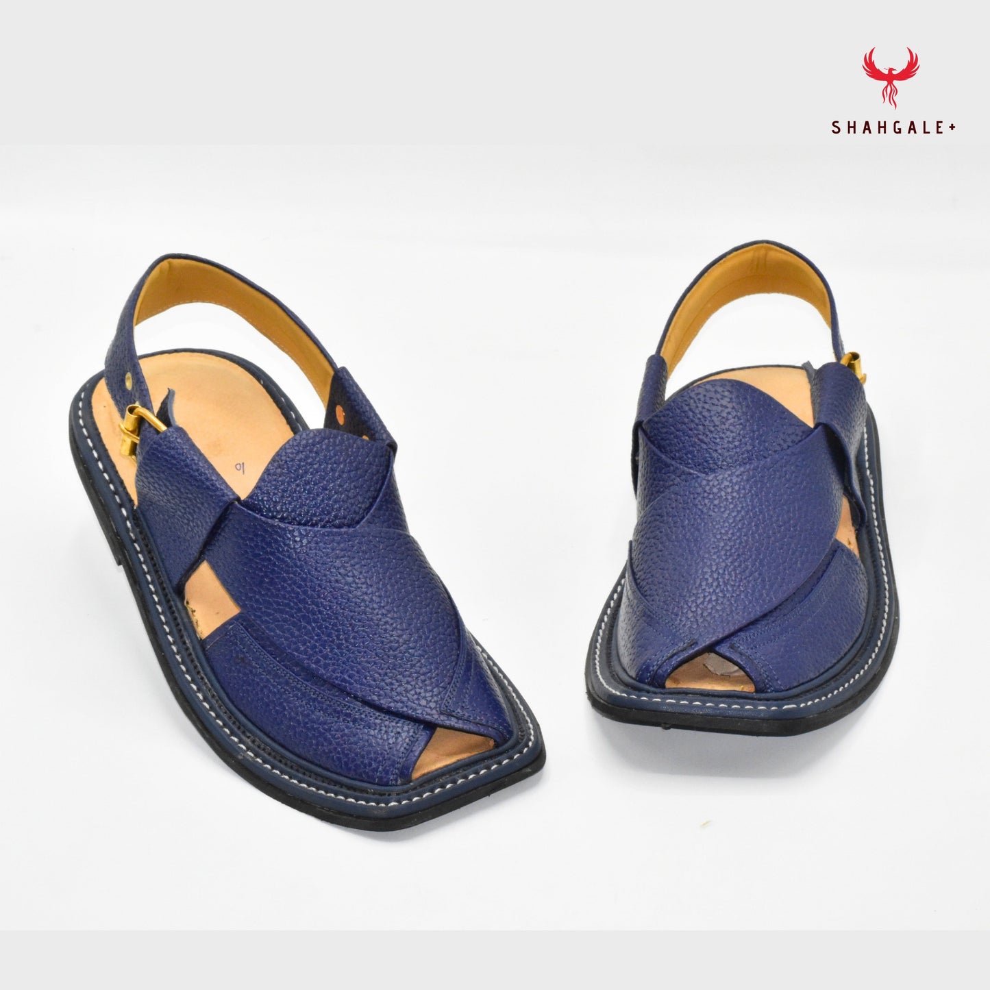 T-Gear premium (Blue Doted)